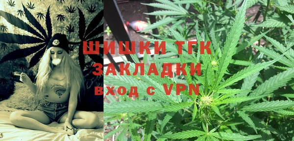 дмт Абаза